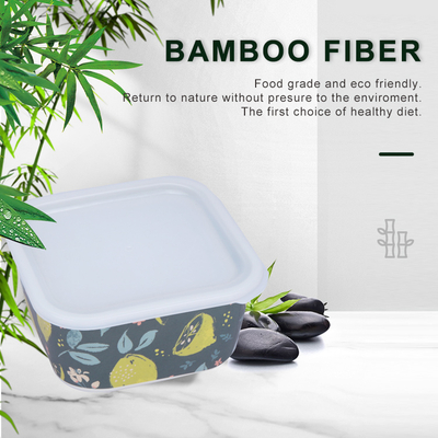 Planet Earth Recycled Reusable Bento Lunch Box Containers